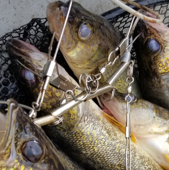 Reel in a trophy catch with these topwater lures for northern pike